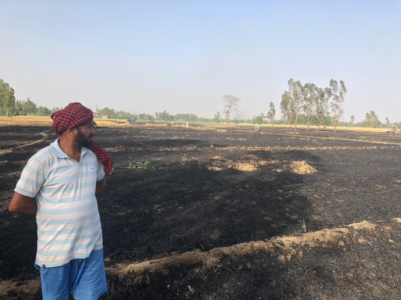 wheat crop burned