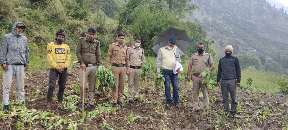 UTTARKASHI