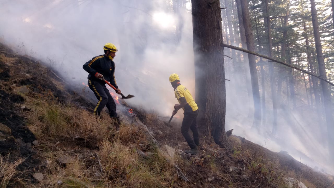 Fire in Dharali forests