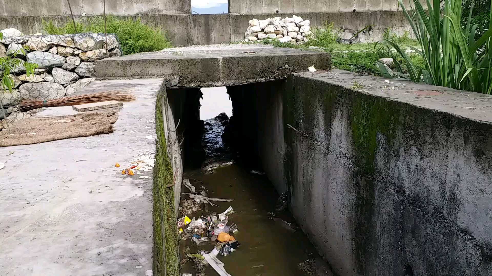 गंगा स्वच्छता के दावे फेल