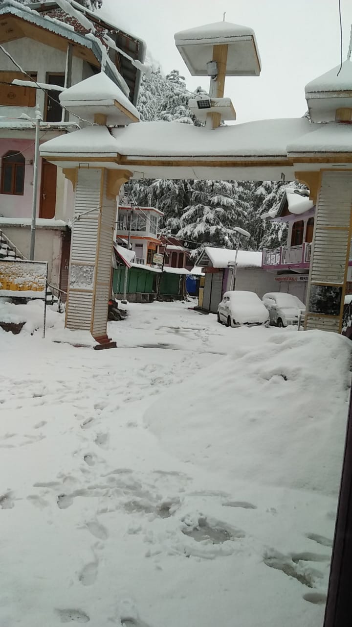 gangotri snowfall