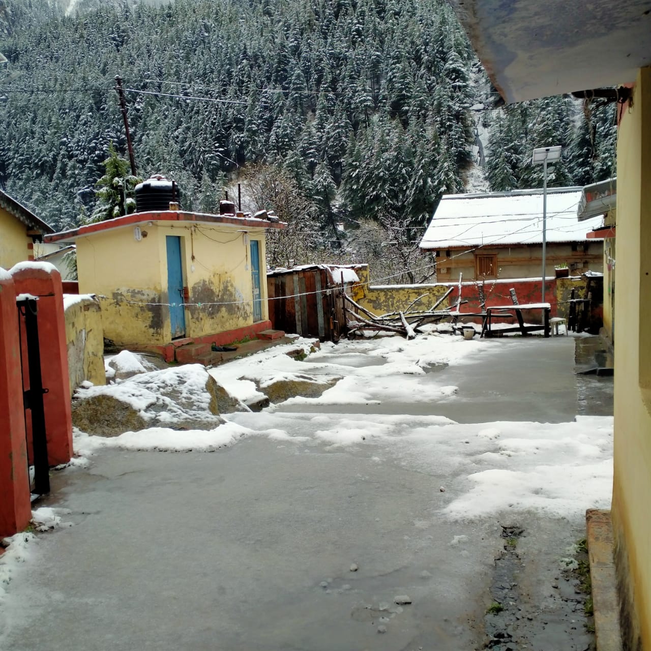 gangotri snowfall