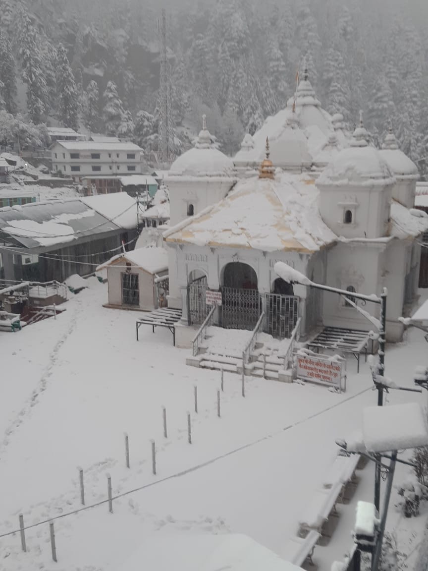 gangotri snowfall