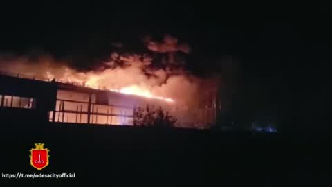 woman sets house on fire