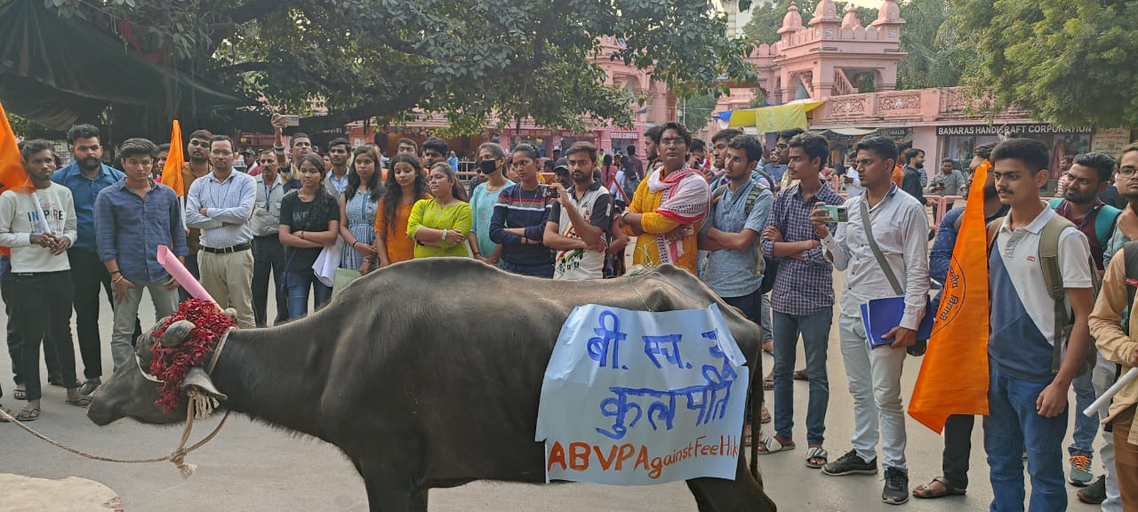काशी हिंदू विश्वविद्यालय के छात्र फीस वृद्धि को लेकर विश्वविद्यालय में भैंस के आगे बीन बजाकर अपना विरोध दर्ज कराया.