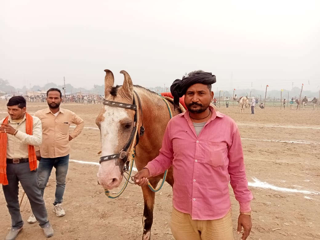 बटेश्वर पशु मेले में घुड़दौड़ प्रतियोगिता का आयोजन,