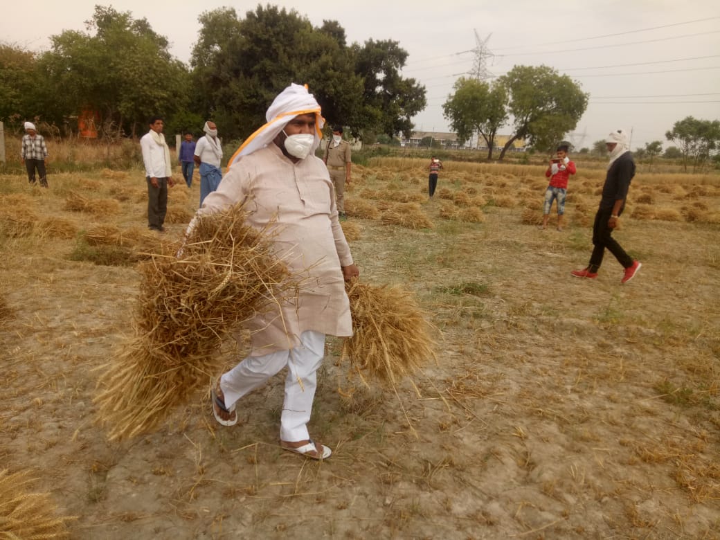 etv bharat