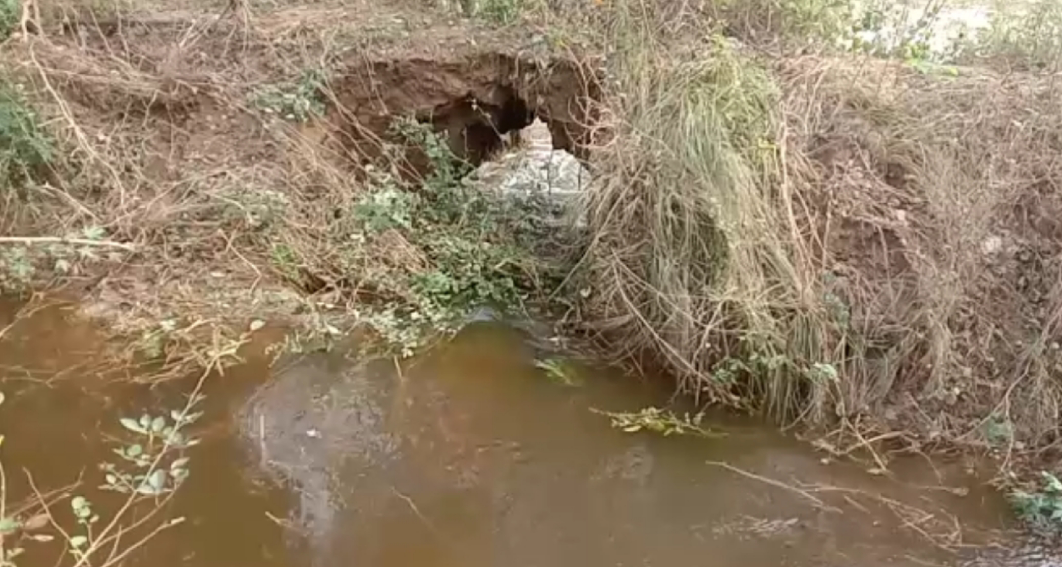 minor of chambal canal broken in agra