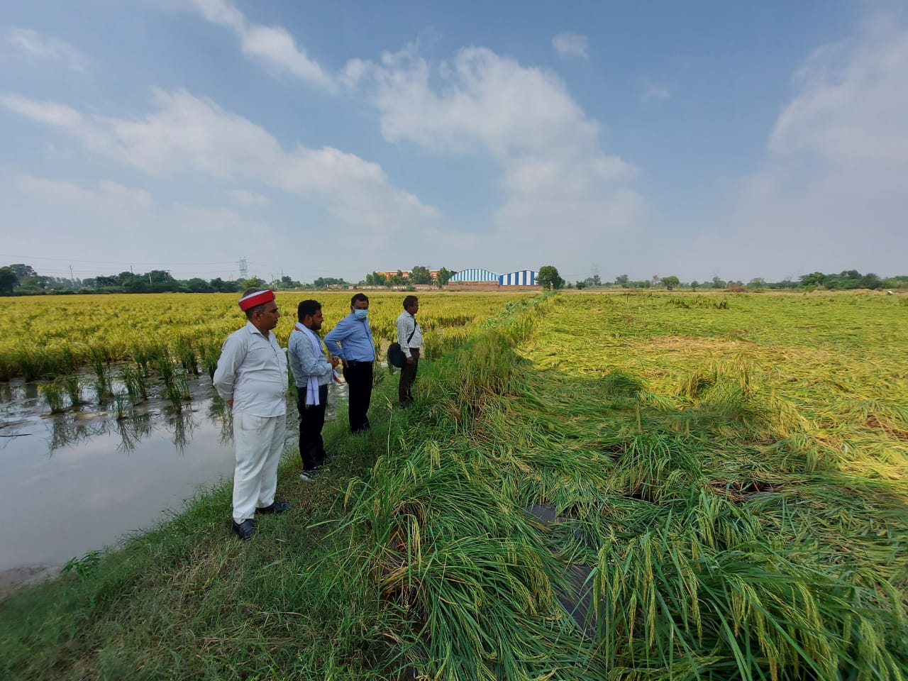 बारिश से नष्ट हुईं किसानों की फसलें