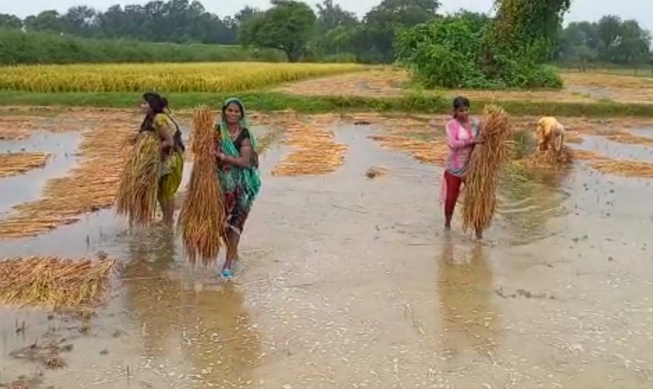 जल्द मिलेगा किसानों को मुआवजा