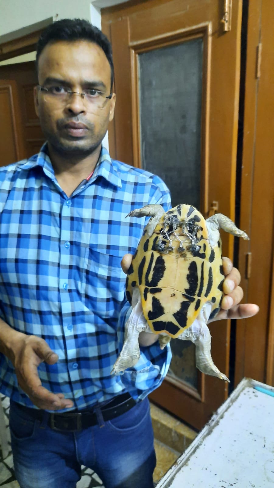 turtle surgery in aligarh