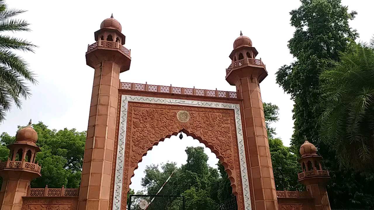 aligarh muslim university