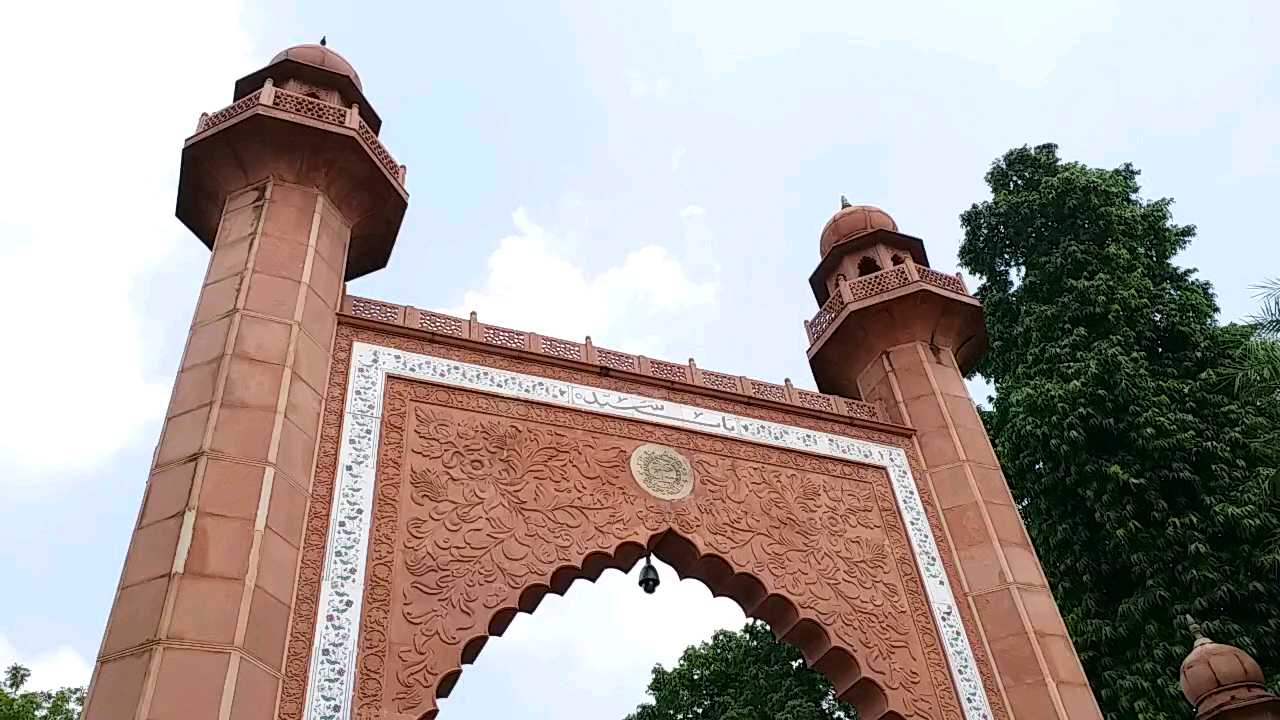 aligarh muslim university