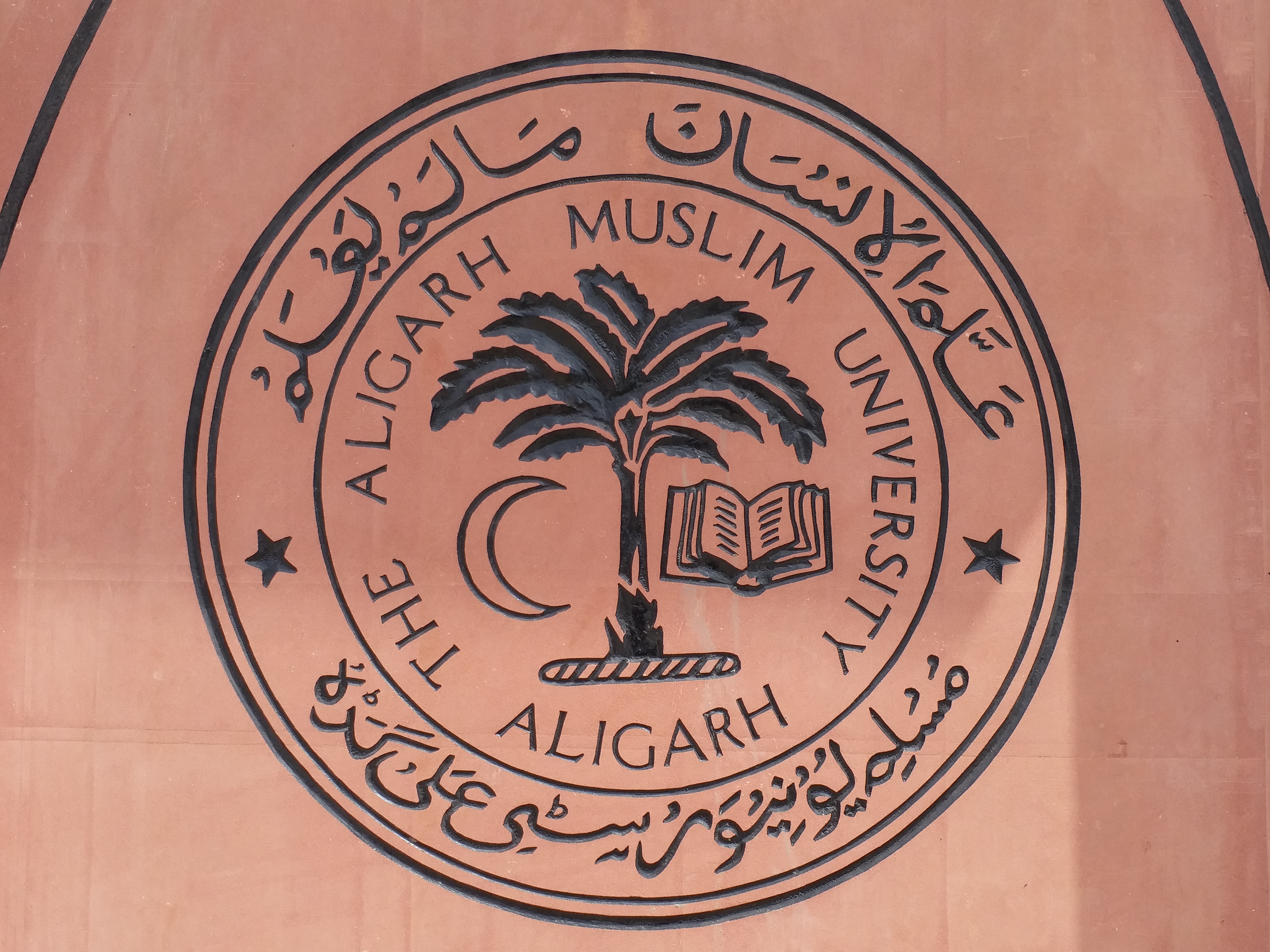 aligarh muslim university