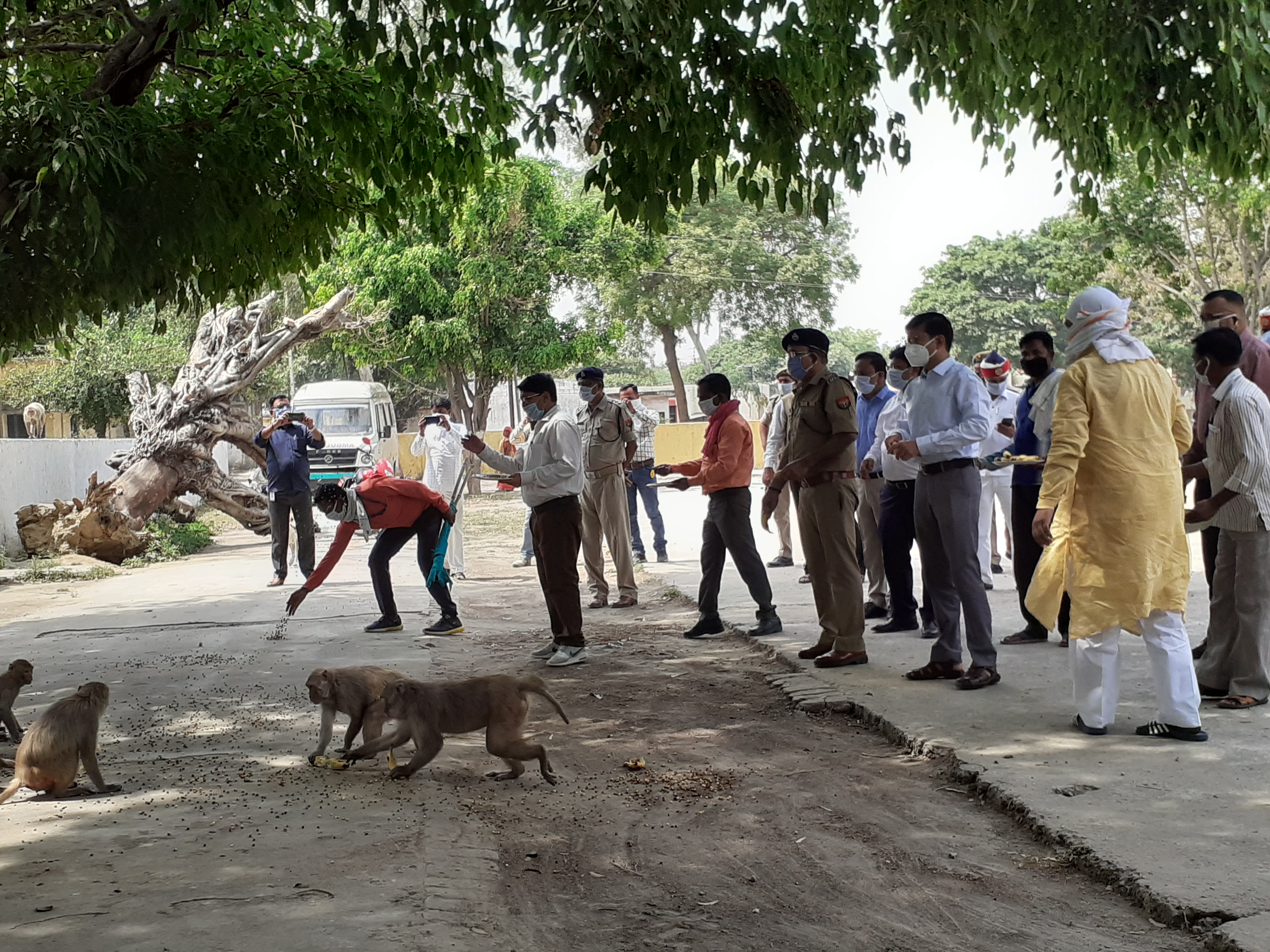 badaun