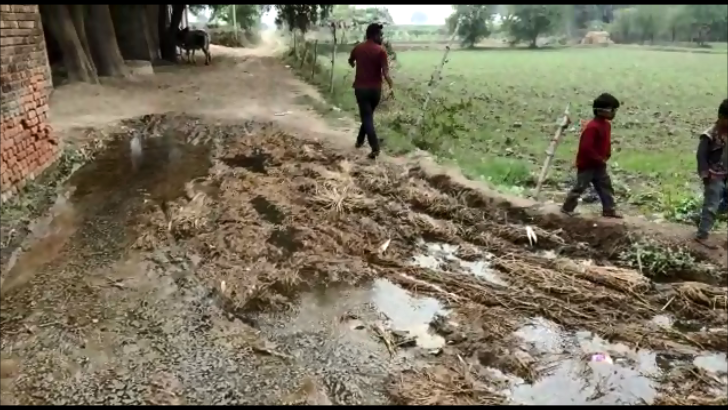 गंदगी से अटी हैं क्षेत्र की सड़कें.