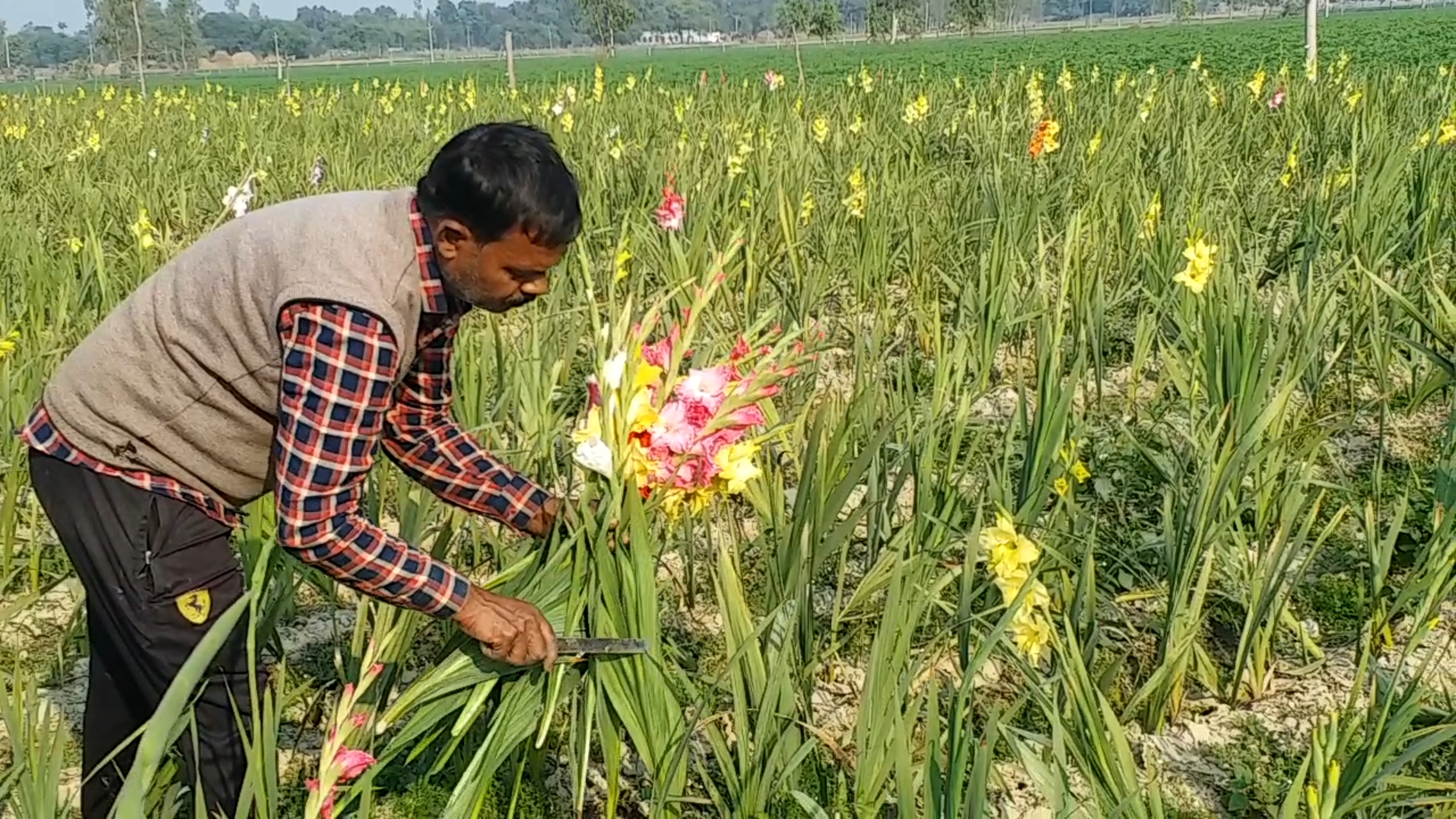 ईटीवी भारत