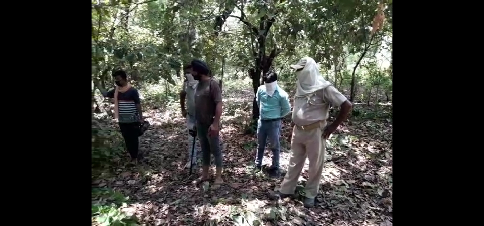 Bijnor: The discovery of an elephant carcass caused a stir in the forest department