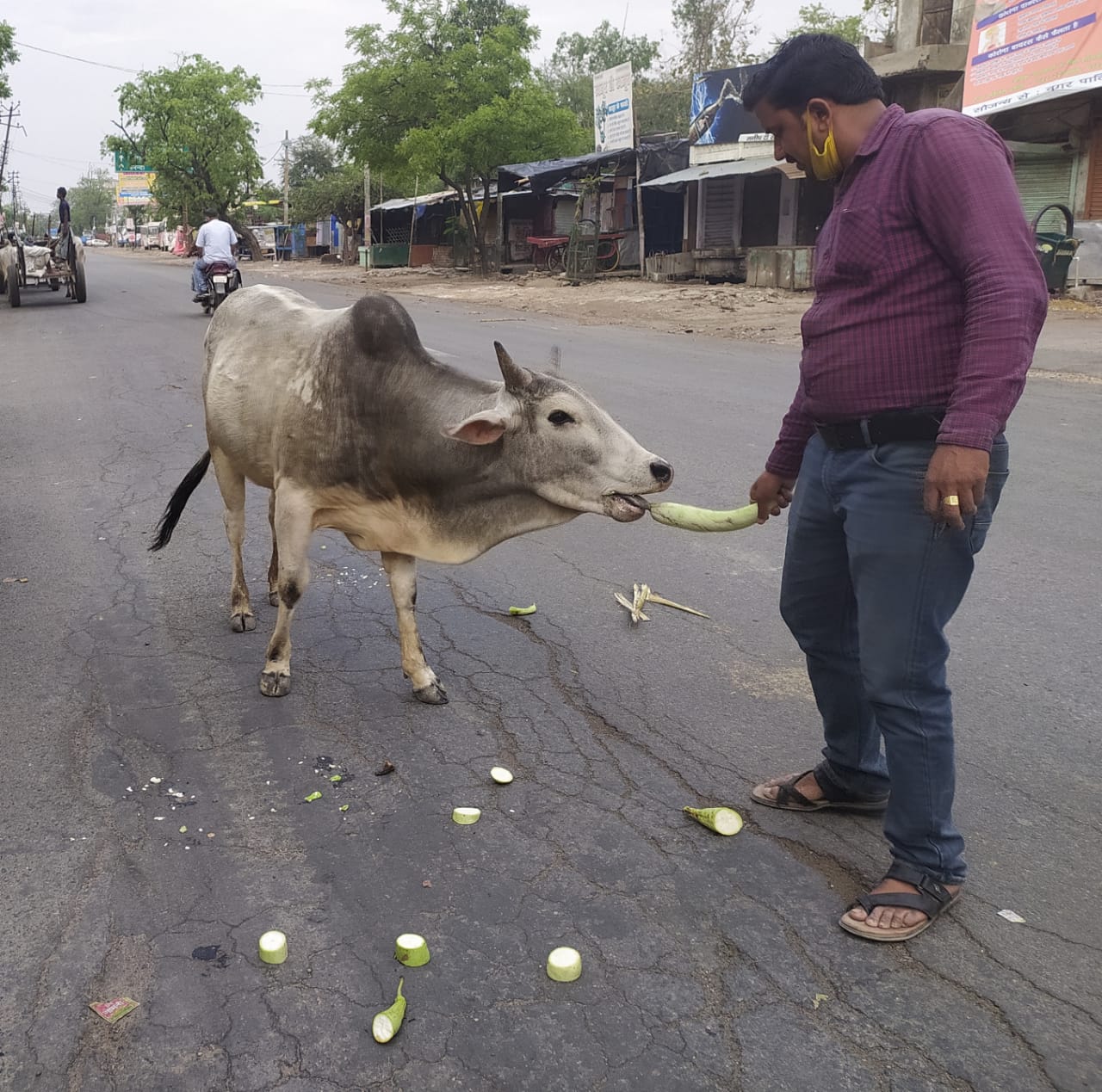 etv bharat