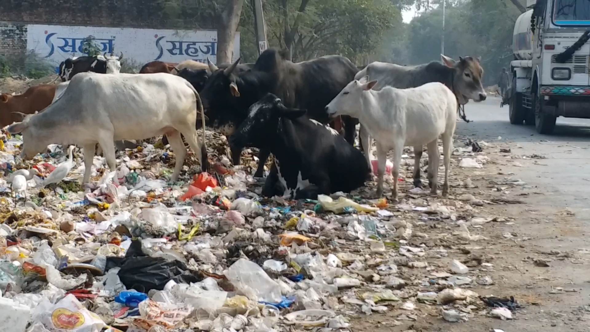 सुभाष नगर में गंदगी से लोग परेशान.