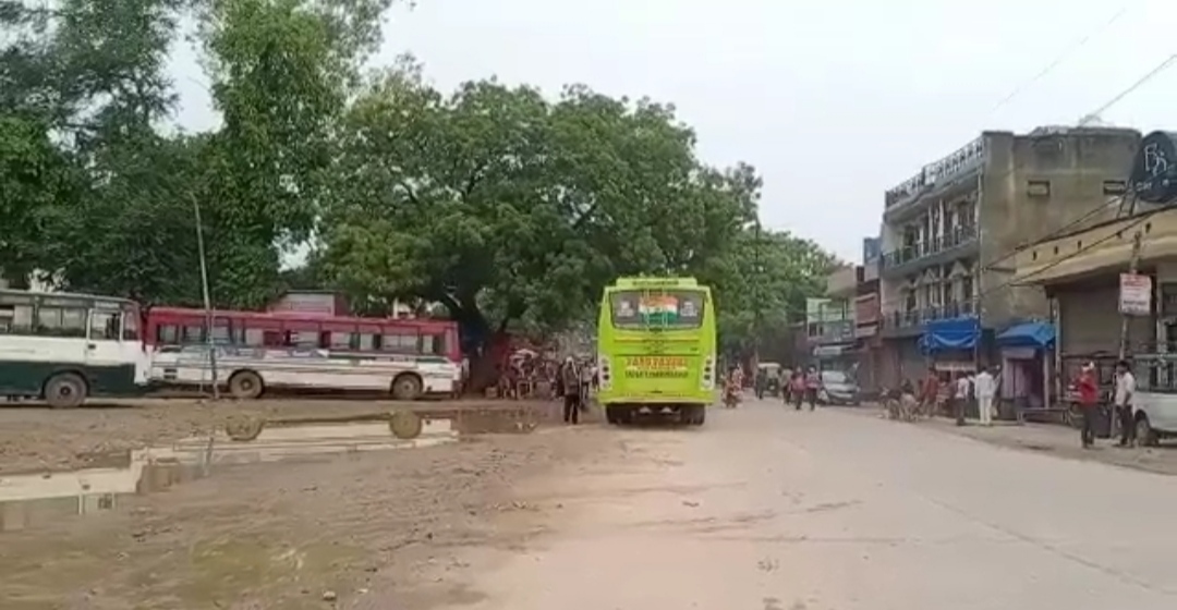 फर्राटे भर रही डग्गामार बसें