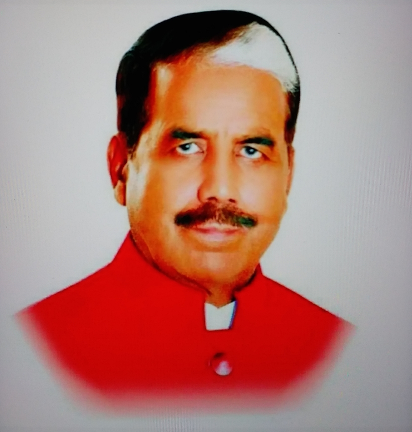 बीजेपी विधायक नागेंद्र सिंह राठौर
