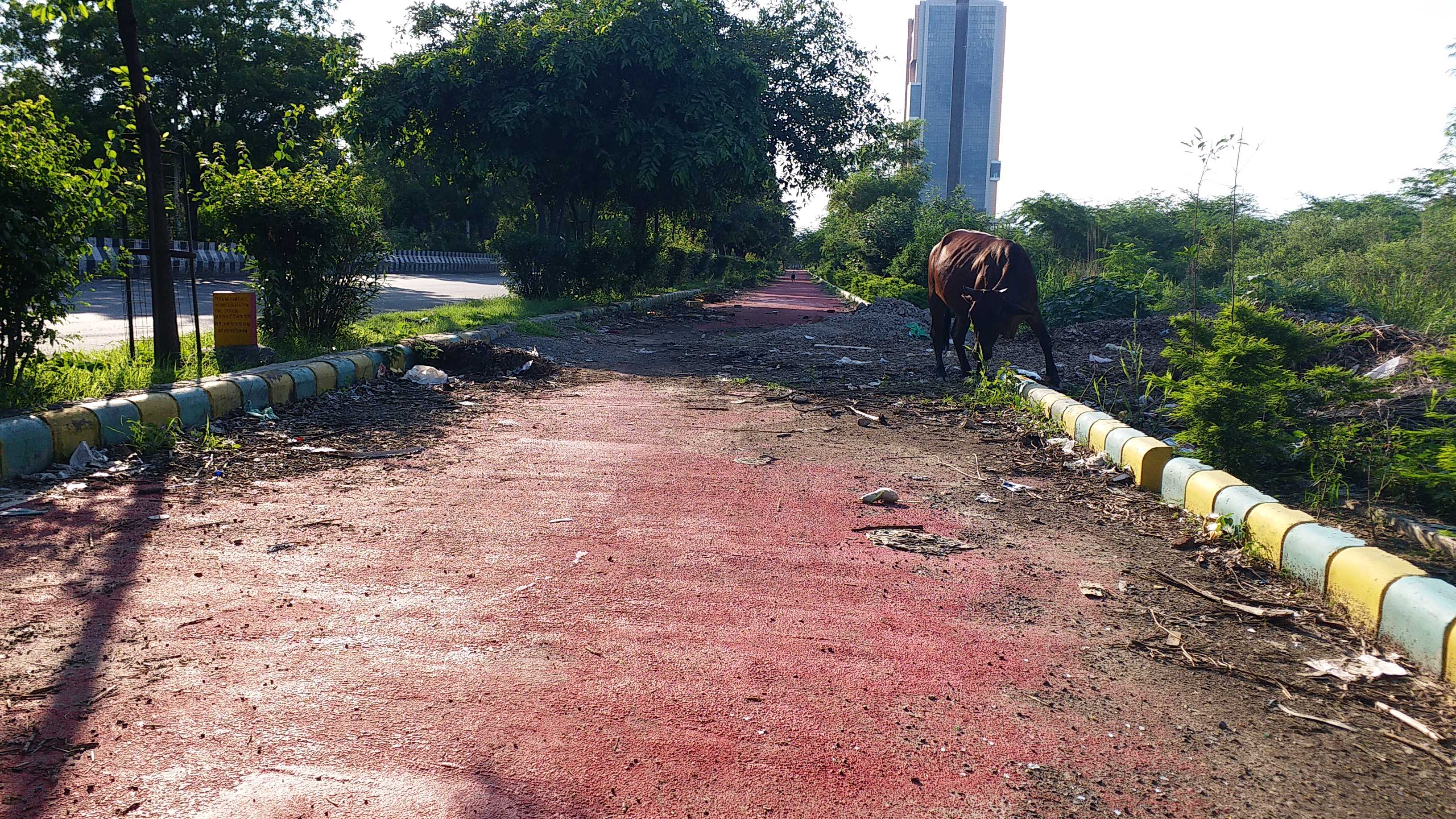 Garbage on Akhilesh yadav govt's cycle track in noida