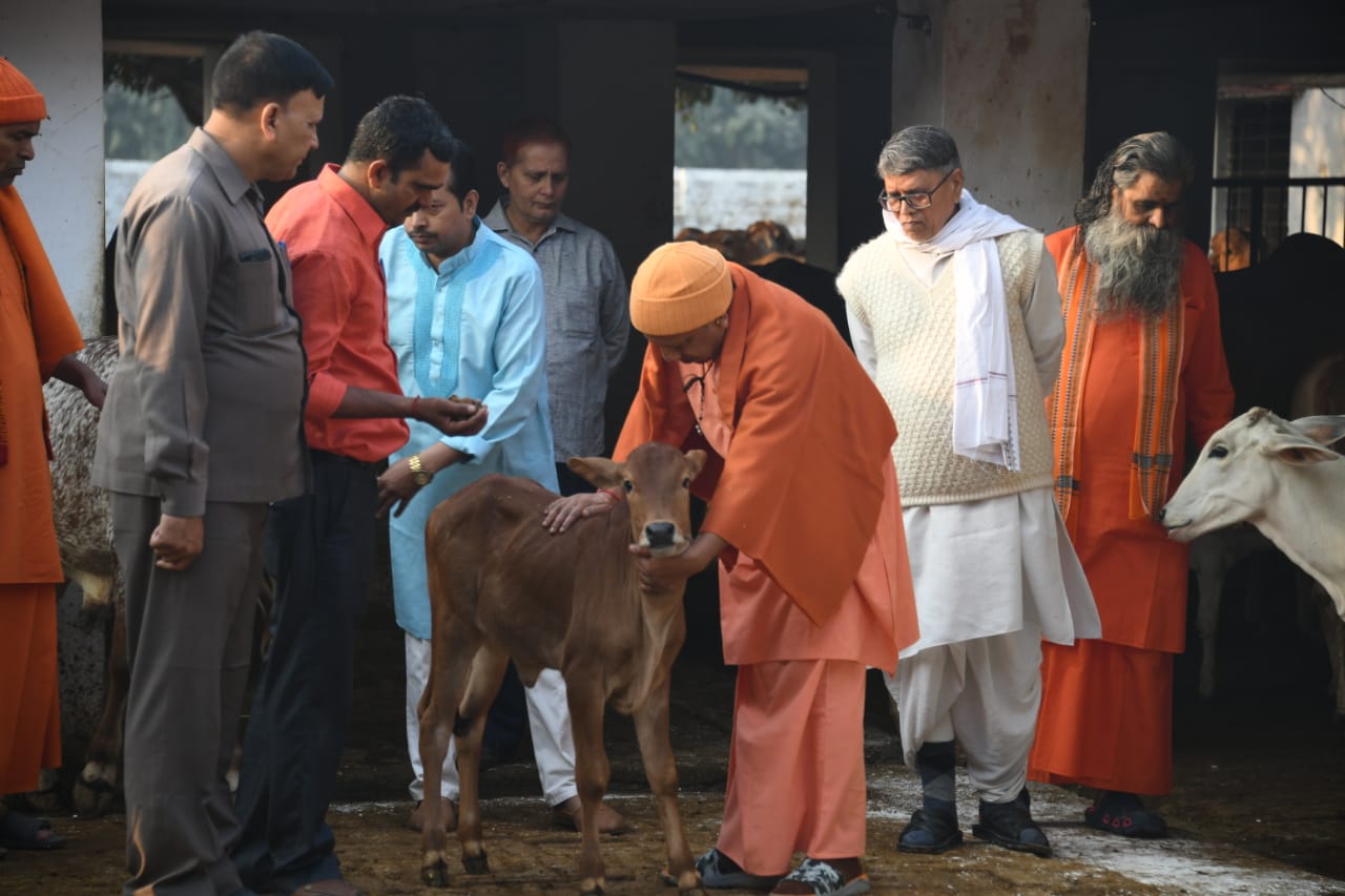 etv bharat