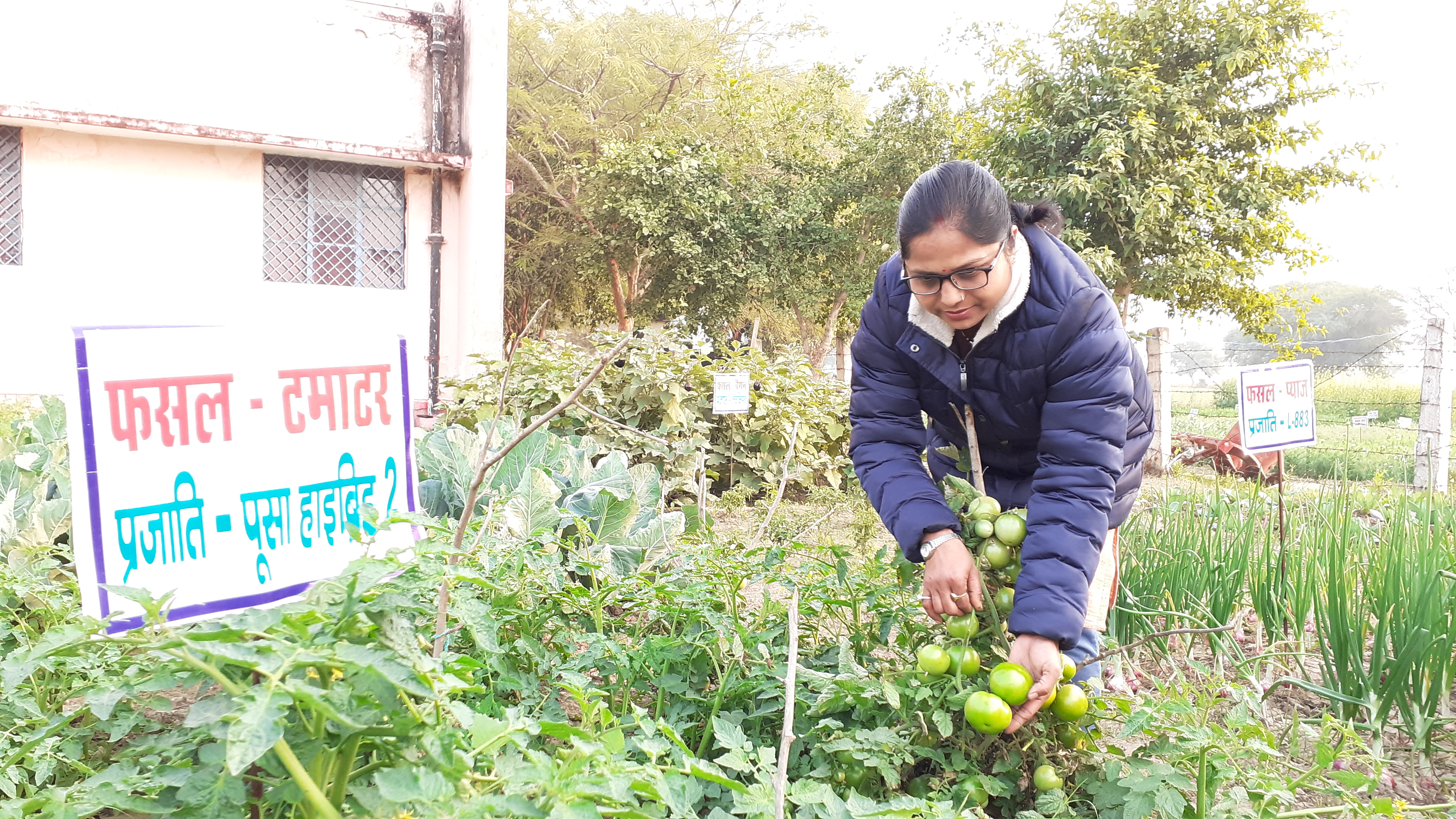 केंद्र में फसलों की देखभाल करती डॉ. राजकुमारी.