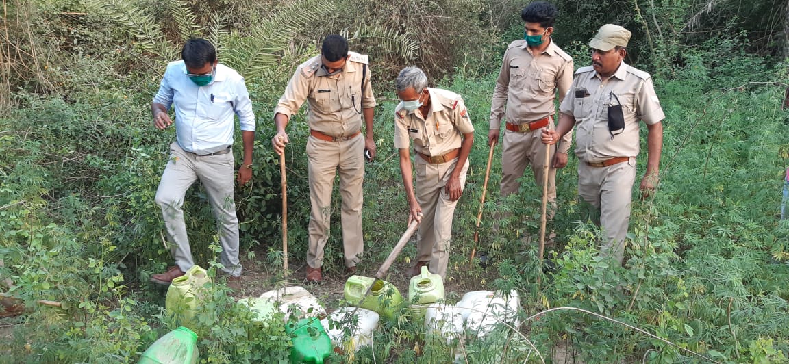 कन्नौज न्यूज