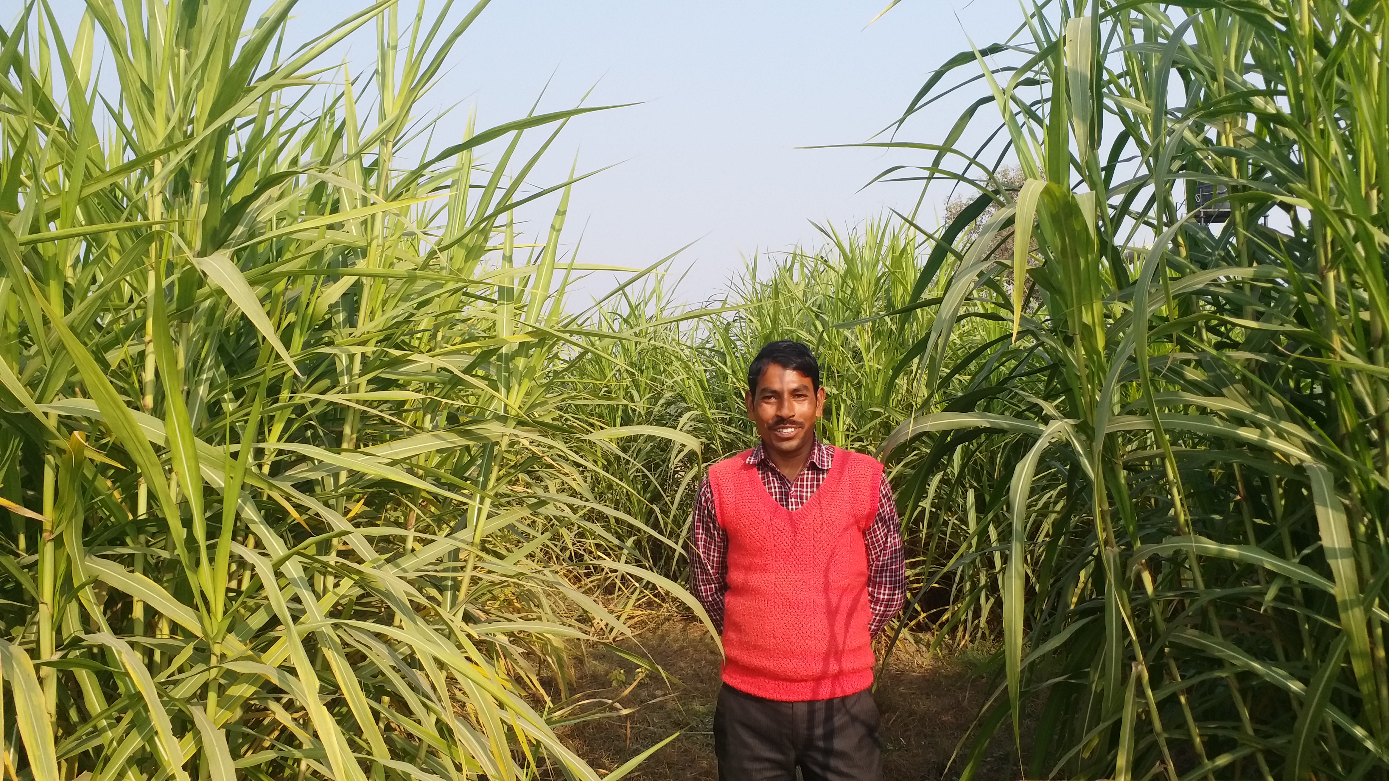 story of farmer brajmohan