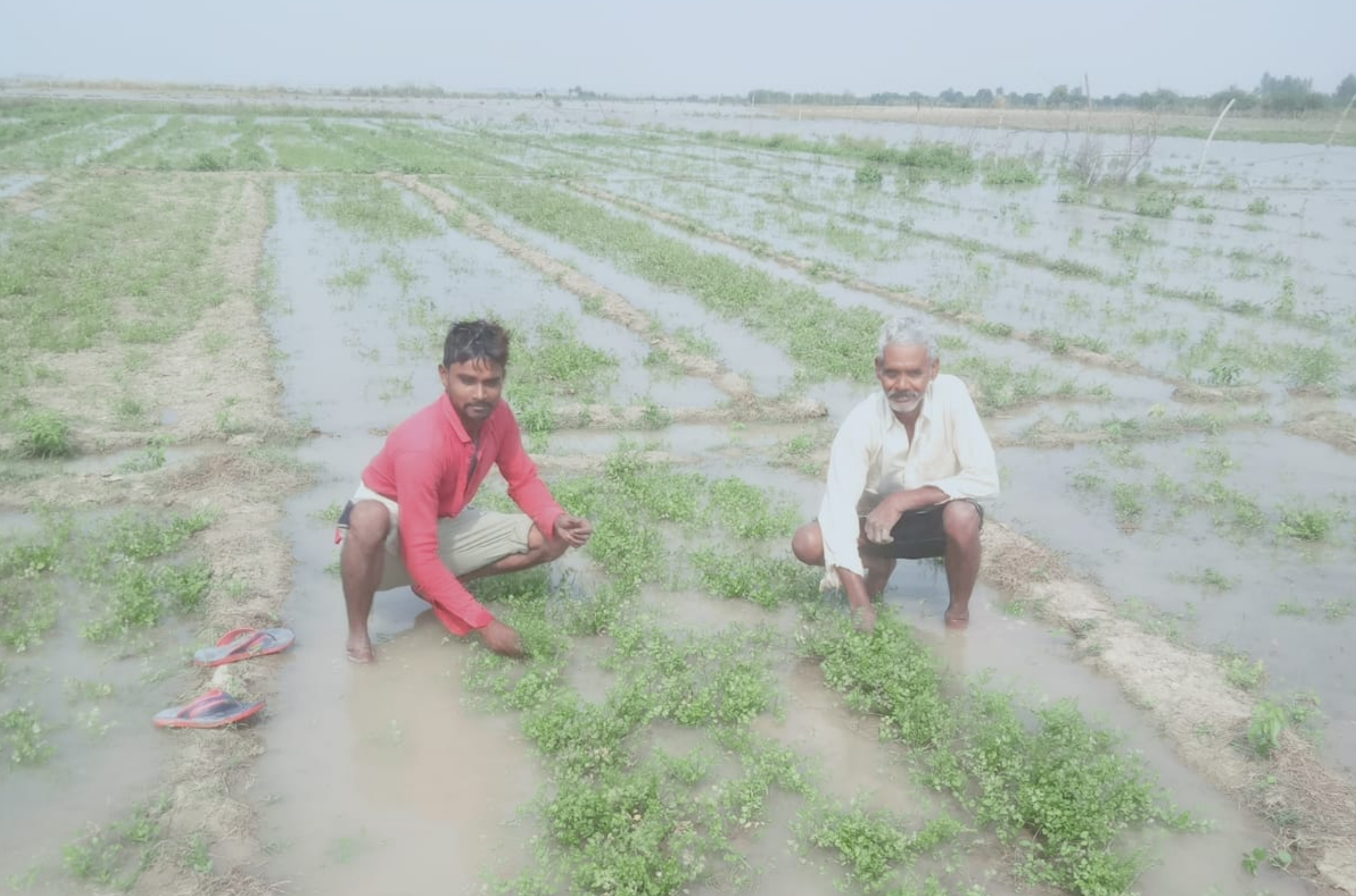 बाढ़ का खतरा