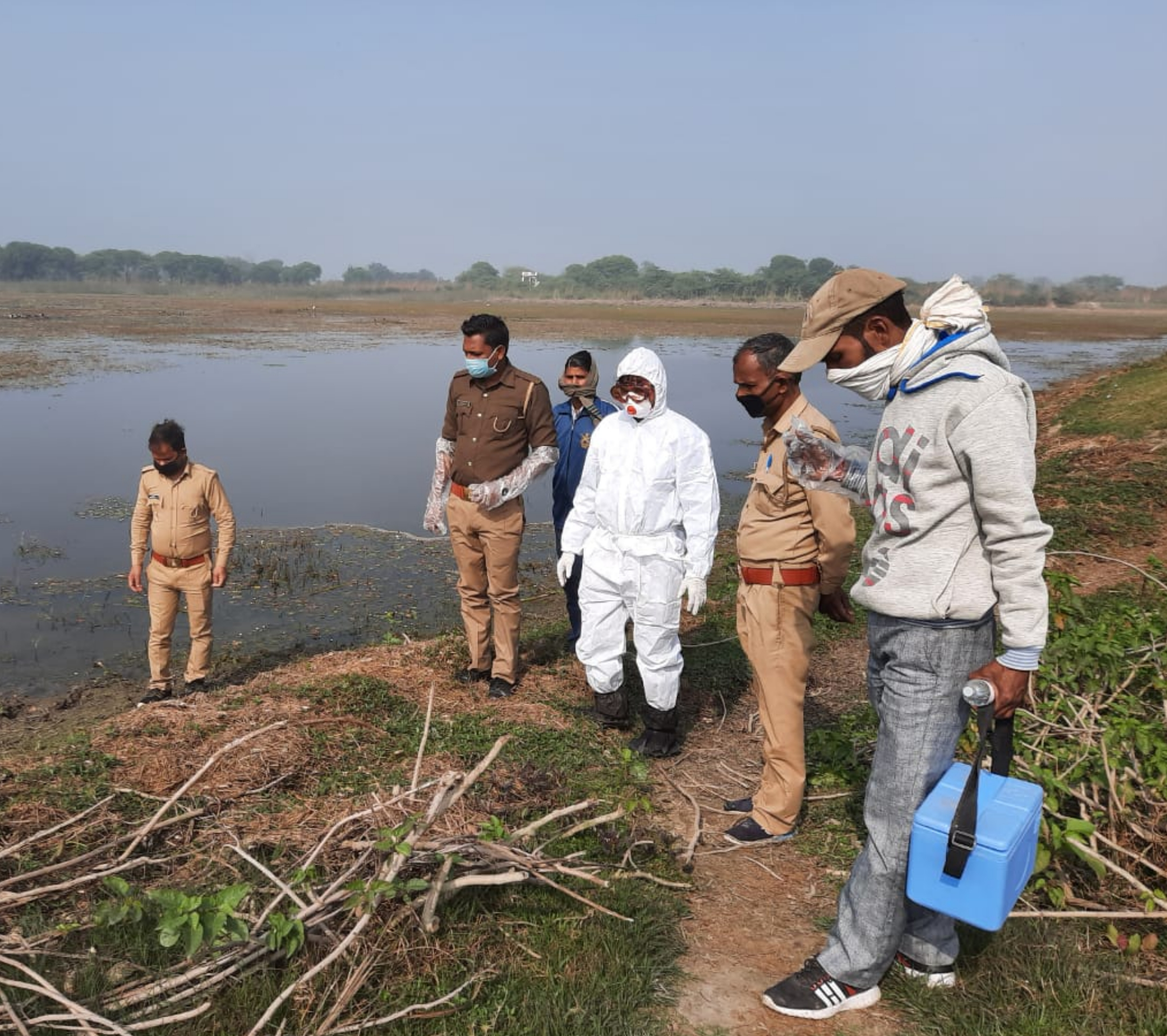 bird flu in kannauj