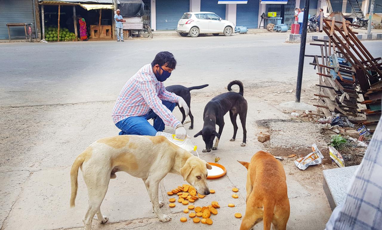 कुशीनगर ताजा समाचार