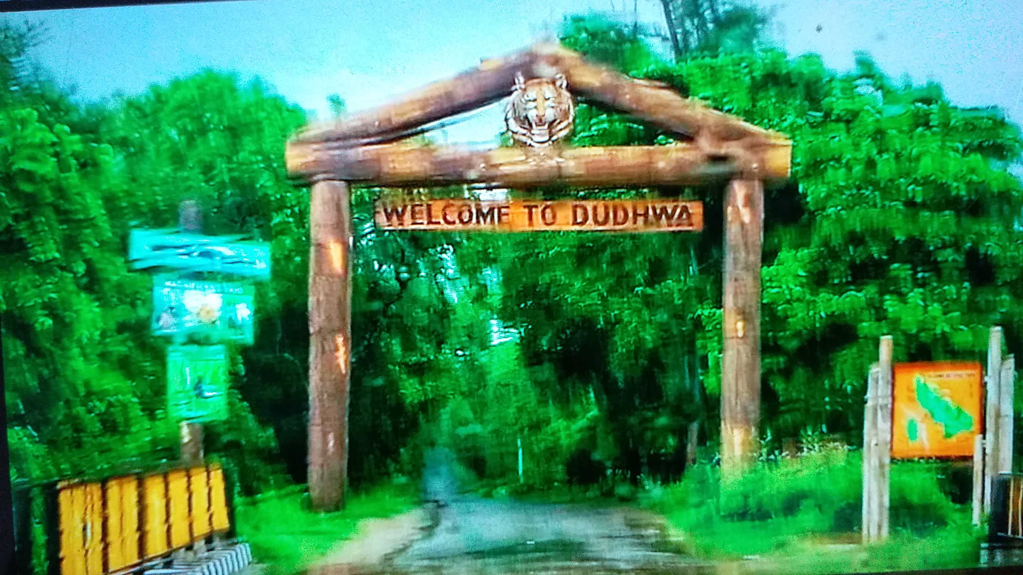 Dudhwa Tiger Reserve