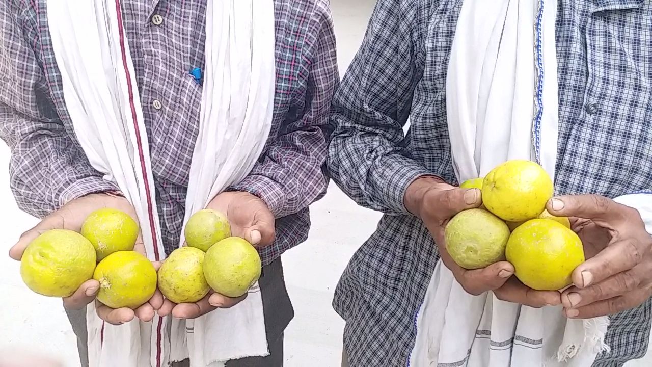 अपनी उपज दिखाते किसान