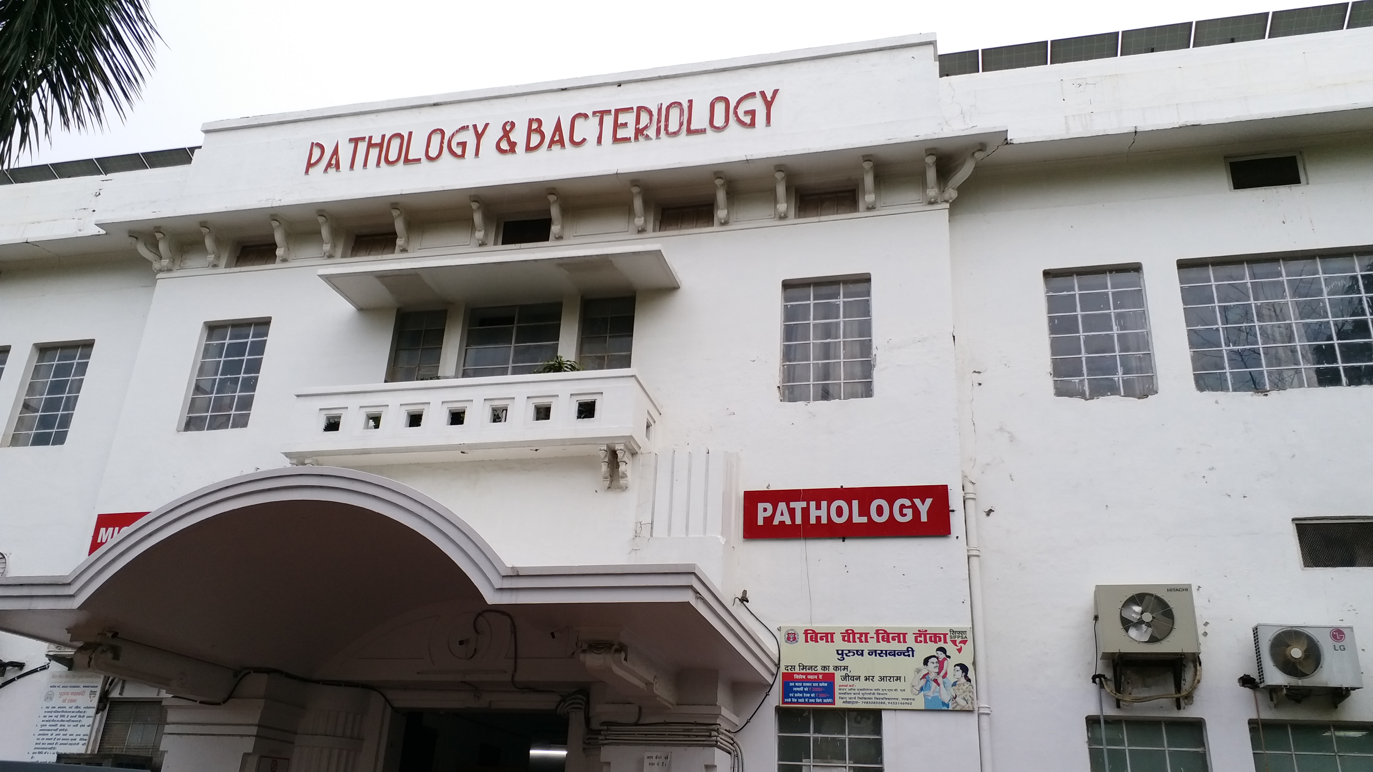 department of pathology