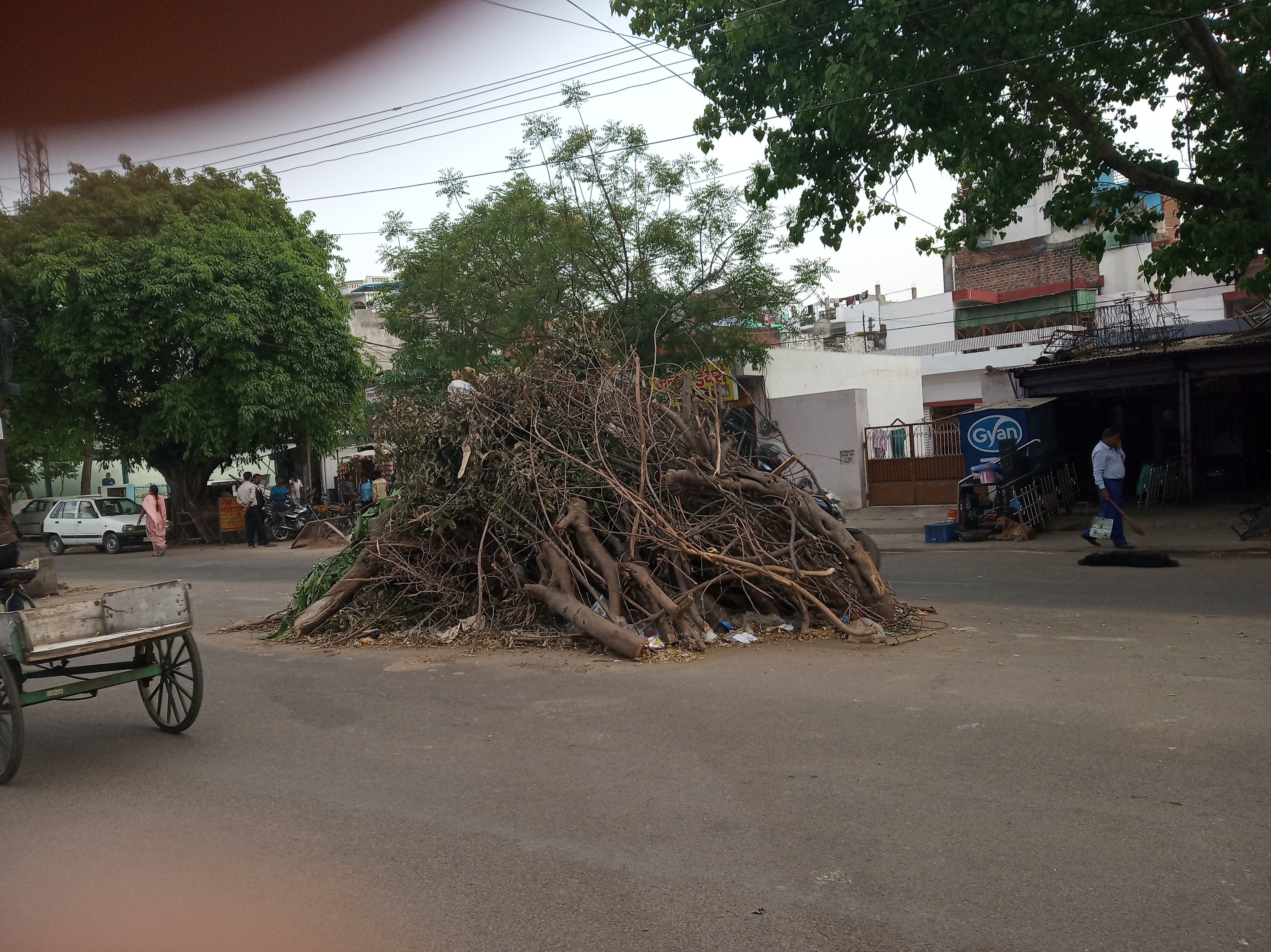 holika dahan