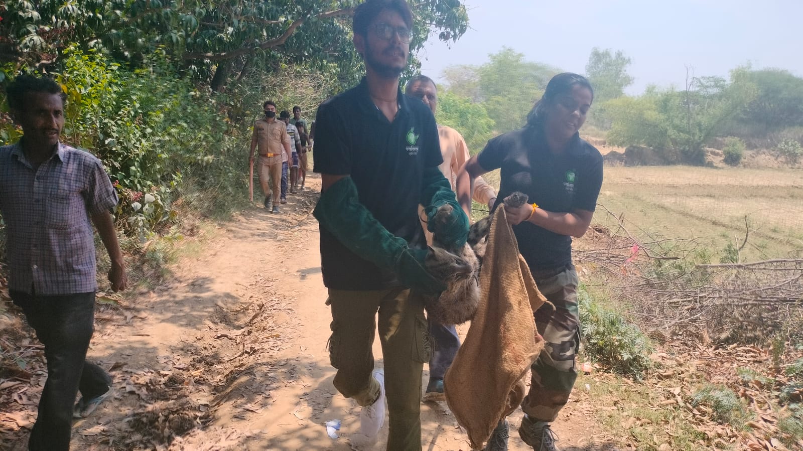 लखनऊ के बंथरा में तेंदुआ दिखने से मचा हड़कंप, वन विभाग ने बताया फिश कैट.