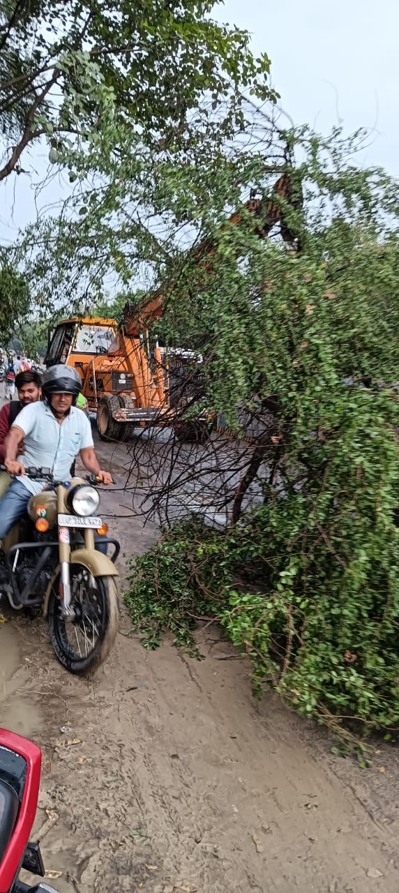 पेड़ गिरने से बाधित मार्ग