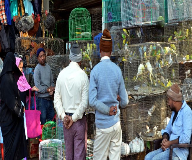 Illegal sale of banned birds in UP