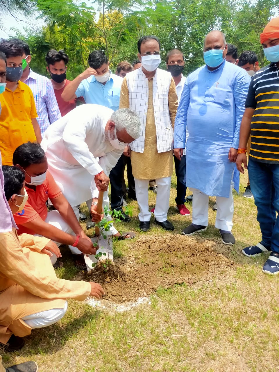 स्वतंत्र देव सिंह ने लोहिया पार्क में किया पौधरोपण.