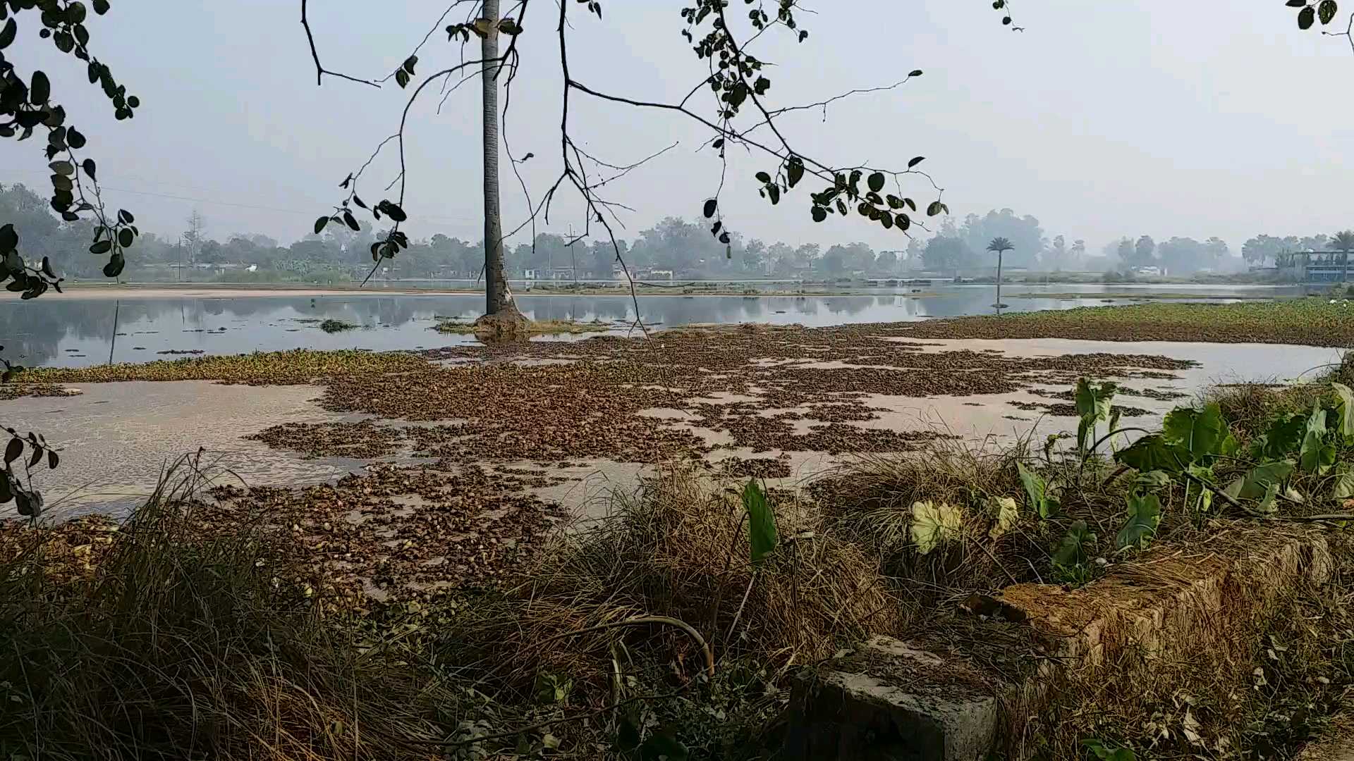 The farmer is disturbed by the entry of factory chemicals in the fields