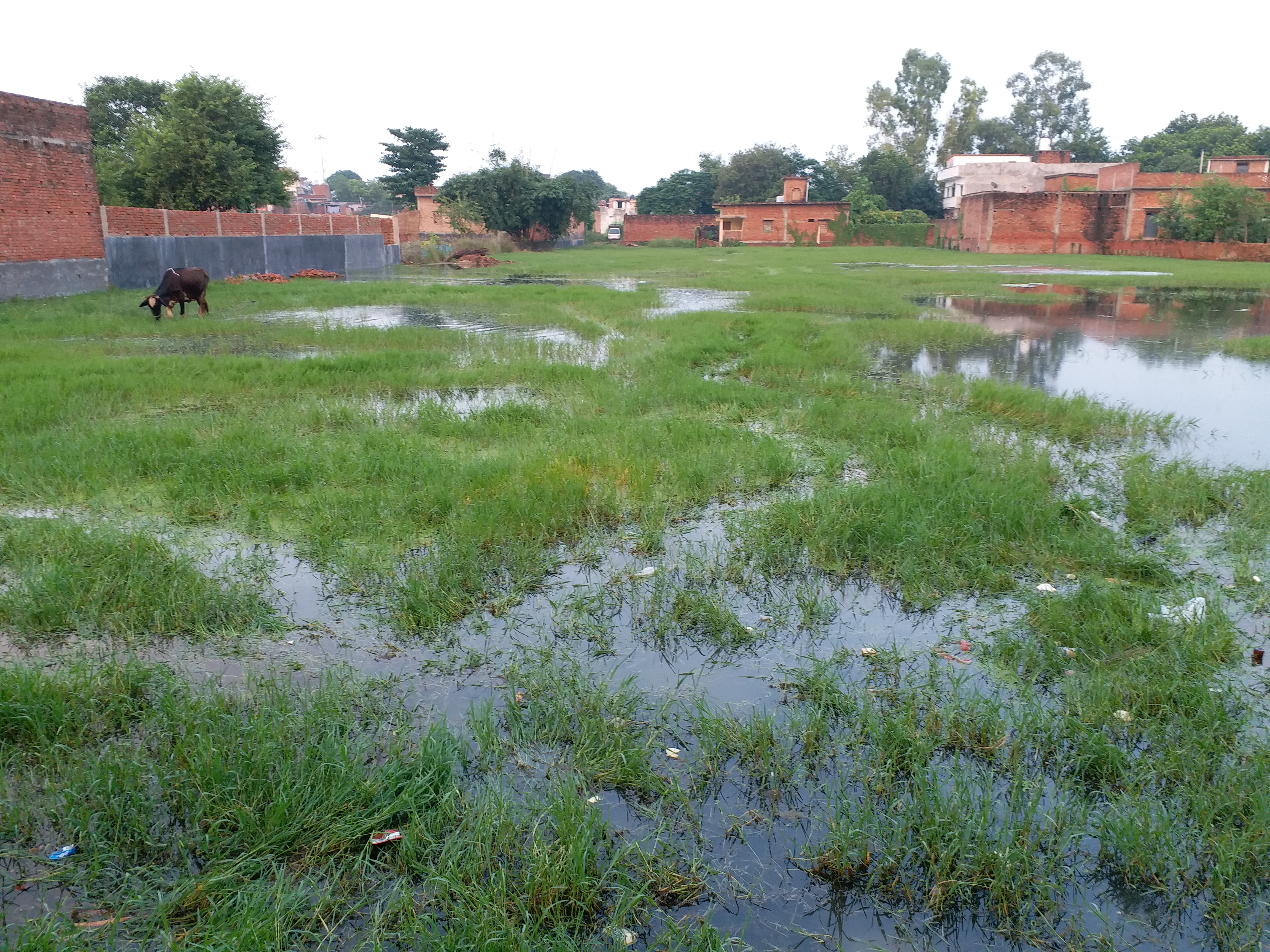 lack of drainage in the village makes life difficult for the people in mau uttar pradesh