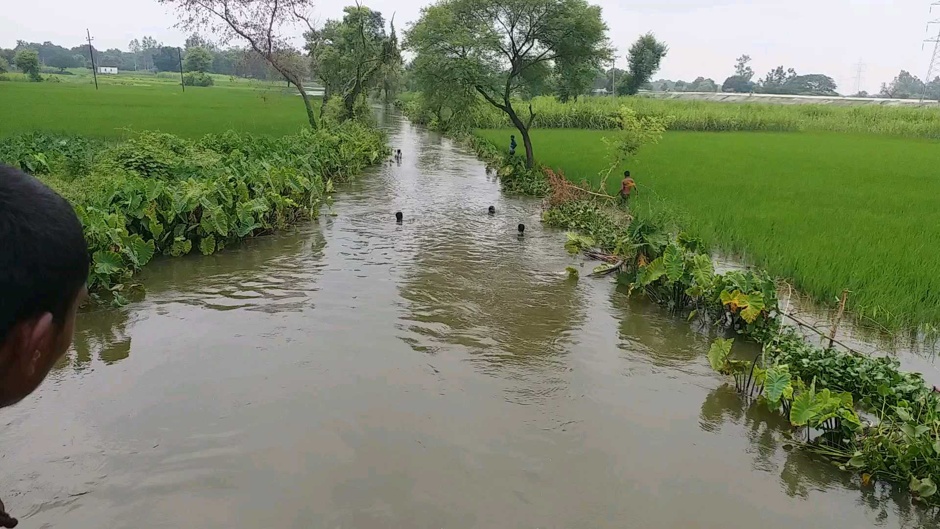 farmer dies after falling into canal in mau