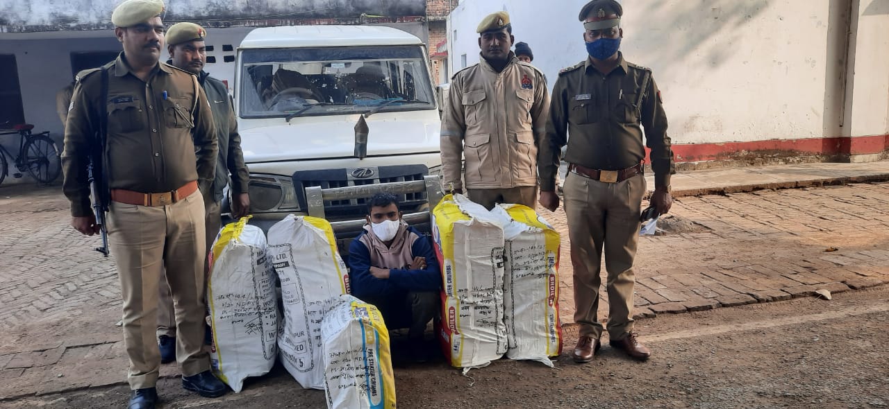 मिर्जापुर अहरौरा पुलिस ने 50 लाख का गांजा पकड़ा