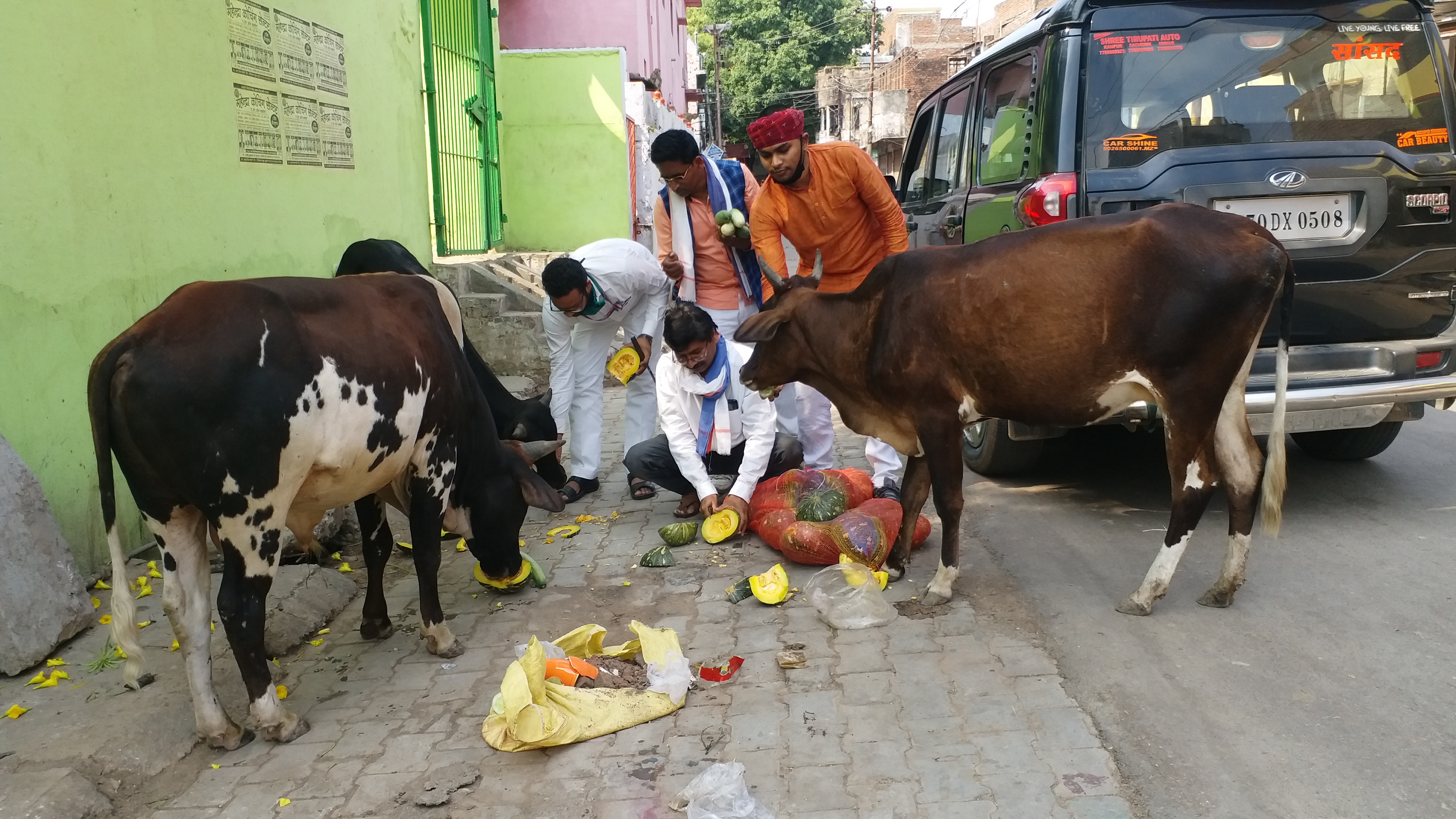 कार्यकर्ताओं ने बेजुबानों को कराया भोजन