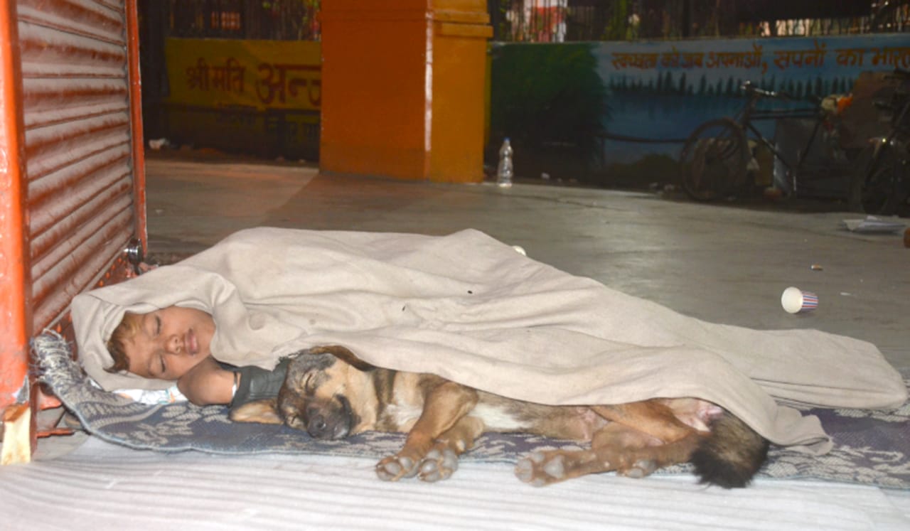 a minor child used to sleep with a dog in muzaffarnagar