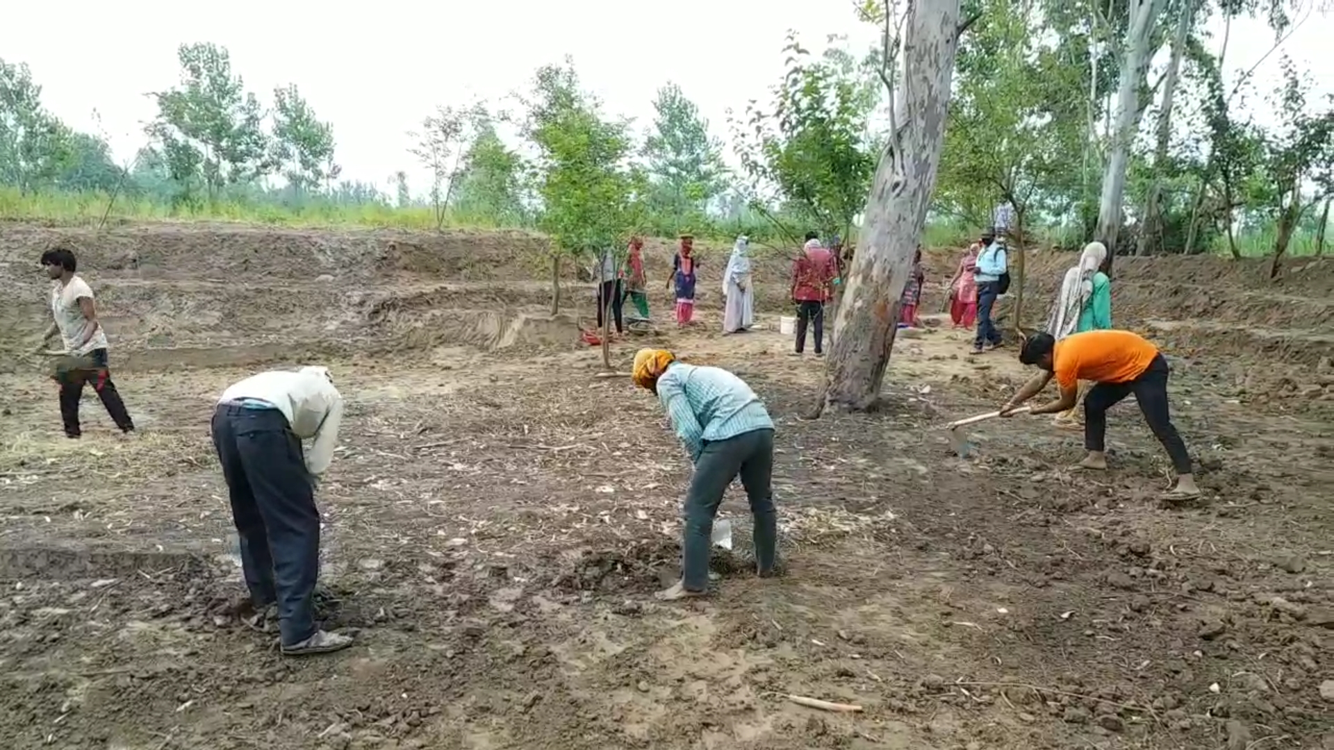 labourers get jobs under MGNREGA