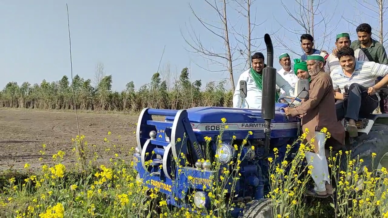 farmers destroyed their crop in muzaffarnagar